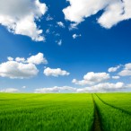 Summer_Wallpaper_III_by_emats