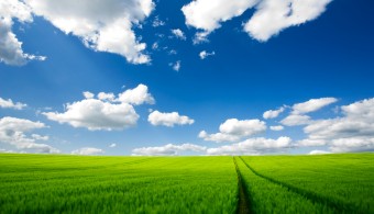 Summer_Wallpaper_III_by_emats